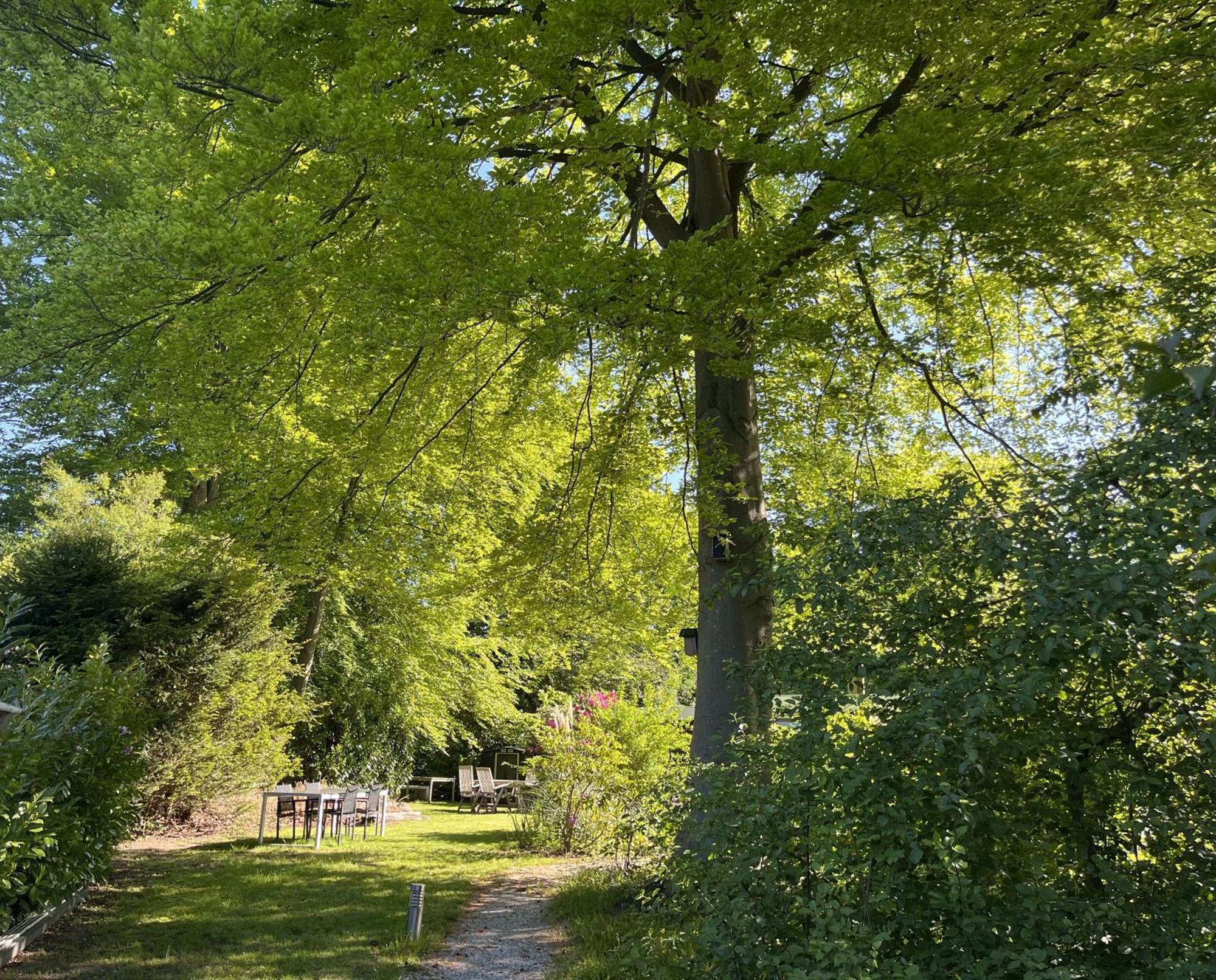 Bungalowpark De Bremerberg บิดดิงฮุยเซน ห้อง รูปภาพ